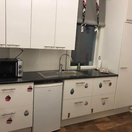 Pieni Yksioe Apartment